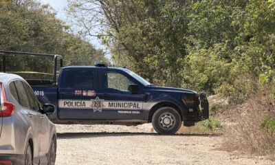 646428813_918703167569316_4286044472852272486_n