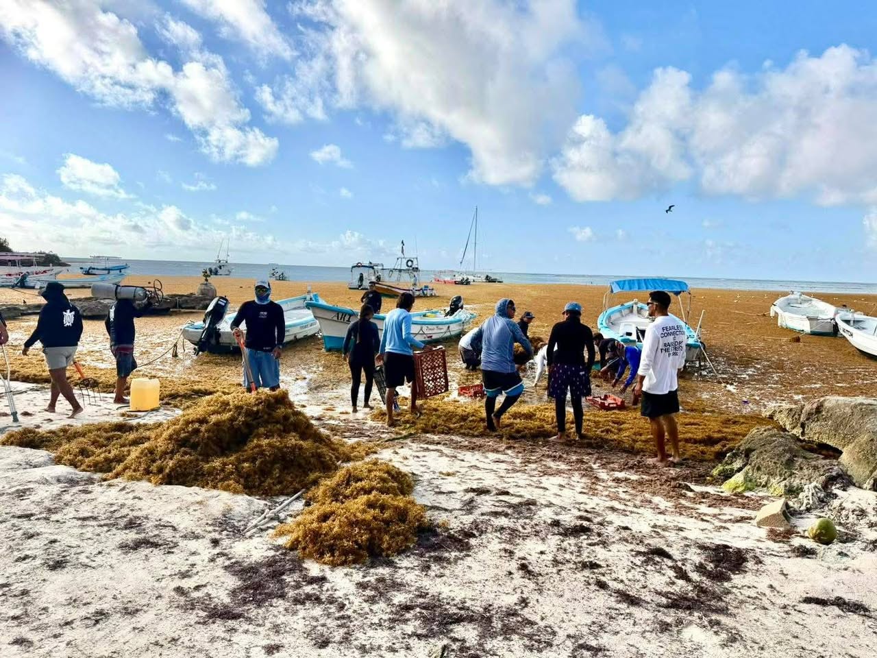 650387432_122265339368134423_370810403476785941_n