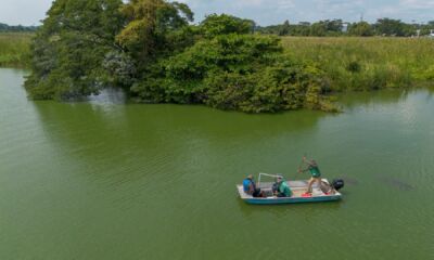 659816332_1391847459652524_3652411783475415264_n