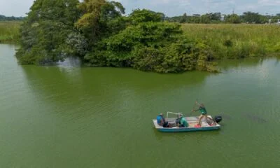 659816332_1391847459652524_3652411783475415264_n