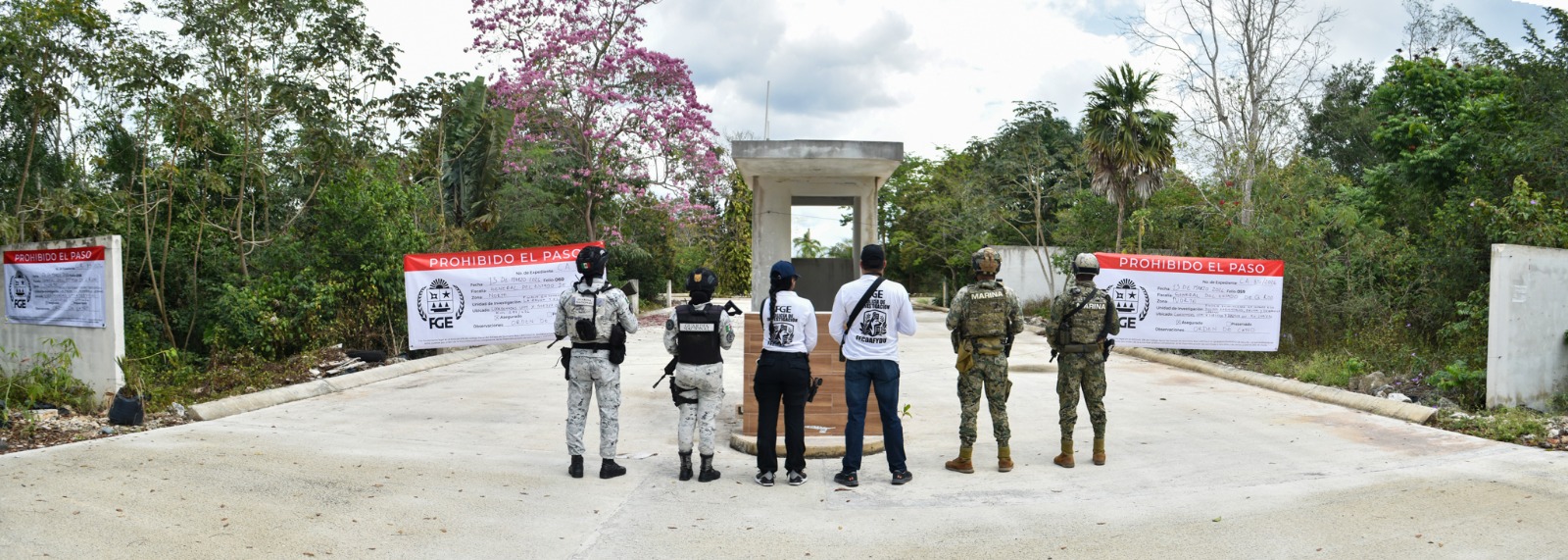 69b951b3d9618373112604