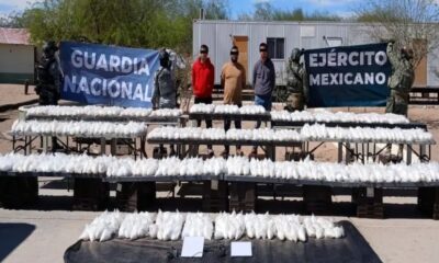 89ef496e-00dd-4de5-ae06-3e56bb38eb0b