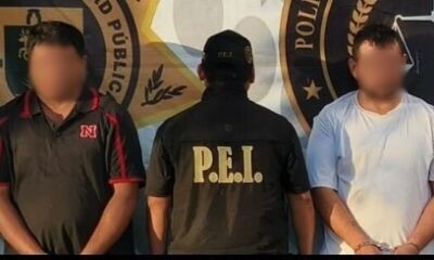 afcaf725-d0b0-4955-881a-5437606529b3