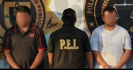 afcaf725-d0b0-4955-881a-5437606529b3