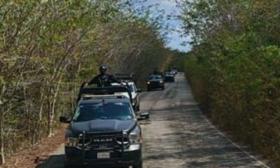 ee029ee5-3d2f-4139-922a-dae03e0c5052