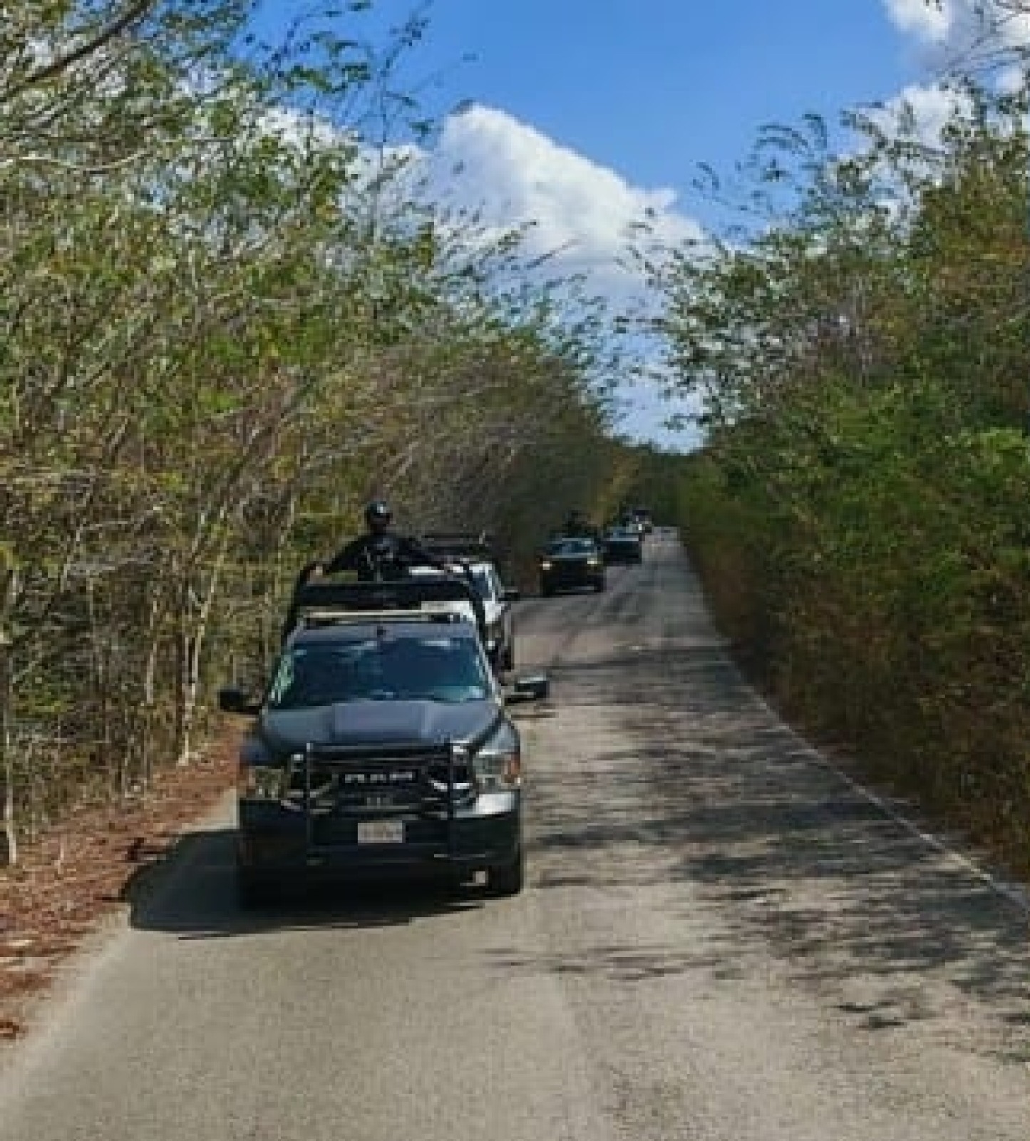 ee029ee5-3d2f-4139-922a-dae03e0c5052