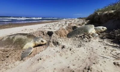 post_FOTO_SANTUARIOS