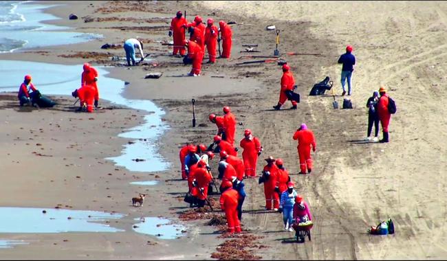 post_WhatsApp_Image_2026-03-15_at_4.34.31_PM__2_