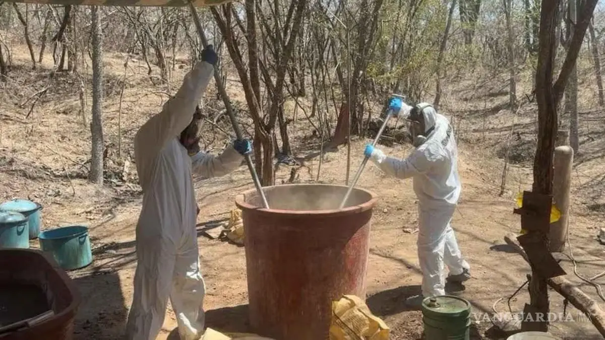 semm_1-14902056_20260329185648