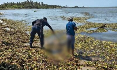 0ff4623d-6882-4a40-a08a-6ffafaad3f09