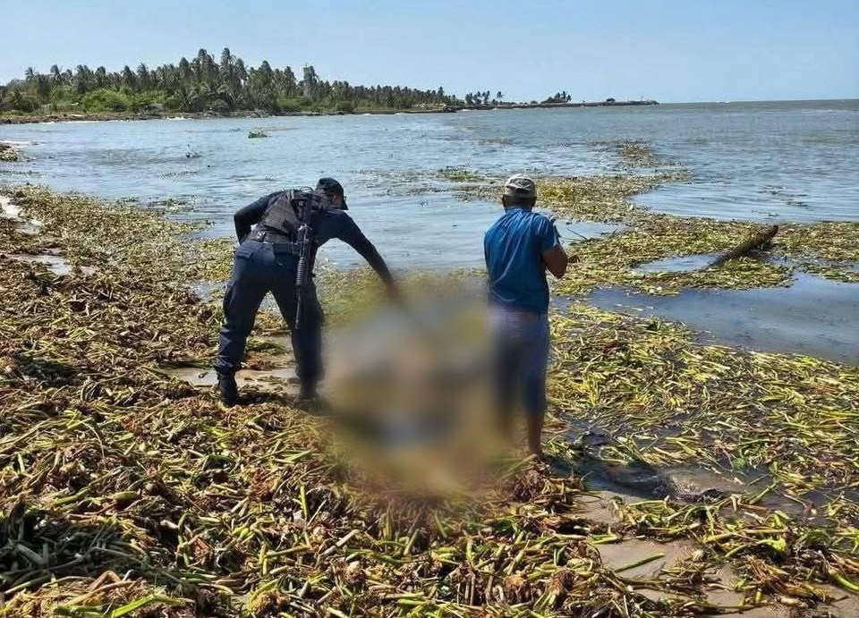 0ff4623d-6882-4a40-a08a-6ffafaad3f09