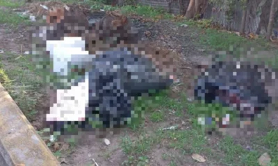 1776115726153-whatsapp-image-2026-04-13-at-14-28