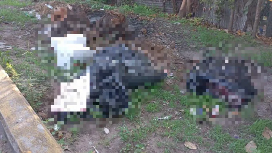 1776115726153-whatsapp-image-2026-04-13-at-14-28