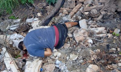 1eabc03b-0ea5-4abf-b3dc-53f372ad8986