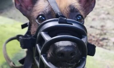 20f007e8-b9c6-4a85-8669-f7504f3b90eb