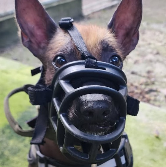 20f007e8-b9c6-4a85-8669-f7504f3b90eb