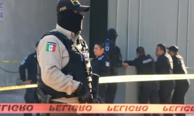 284674xeva20260408152033