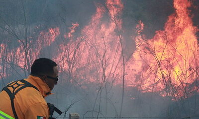 52754067334_9af24aedd3_w