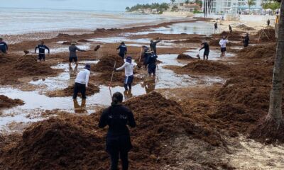 661631792_1542749217853780_4042613723834869448_n