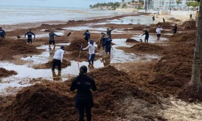 661631792_1542749217853780_4042613723834869448_n