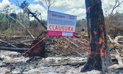 678580501_1416483460515655_8700598461185179611_n