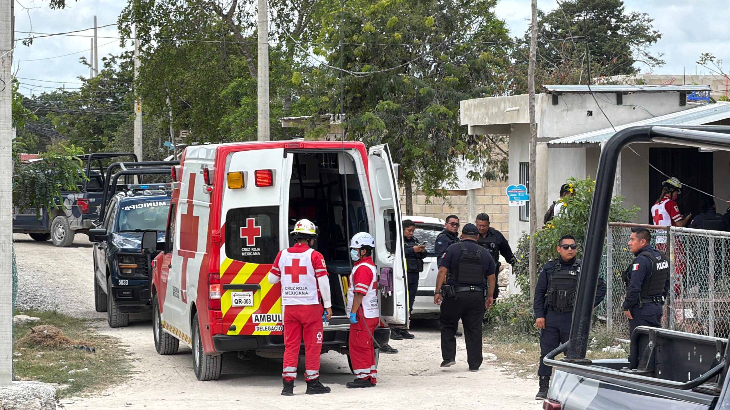 8840a525-b73b-4599-a03f-7b40324324f7