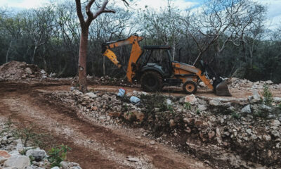 CUS_terreno_forestal_Abala_Yuc_02 CUS_terreno_forestal_Abala_Yuc_02