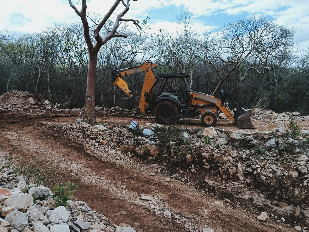 CUS_terreno_forestal_Abala_Yuc_02