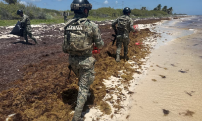 Captura de pantalla 2026-04-16 a la(s) 5.52.58 p.m.