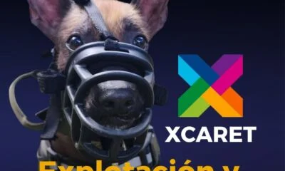 Portada (21.59 x 27.94 cm)