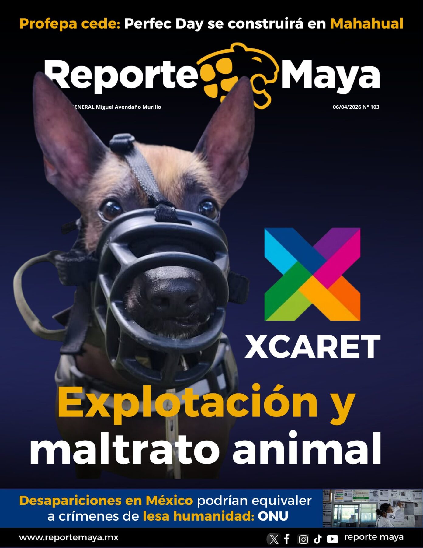 Portada (21.59 x 27.94 cm)