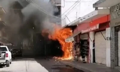 Sin-titulo-1