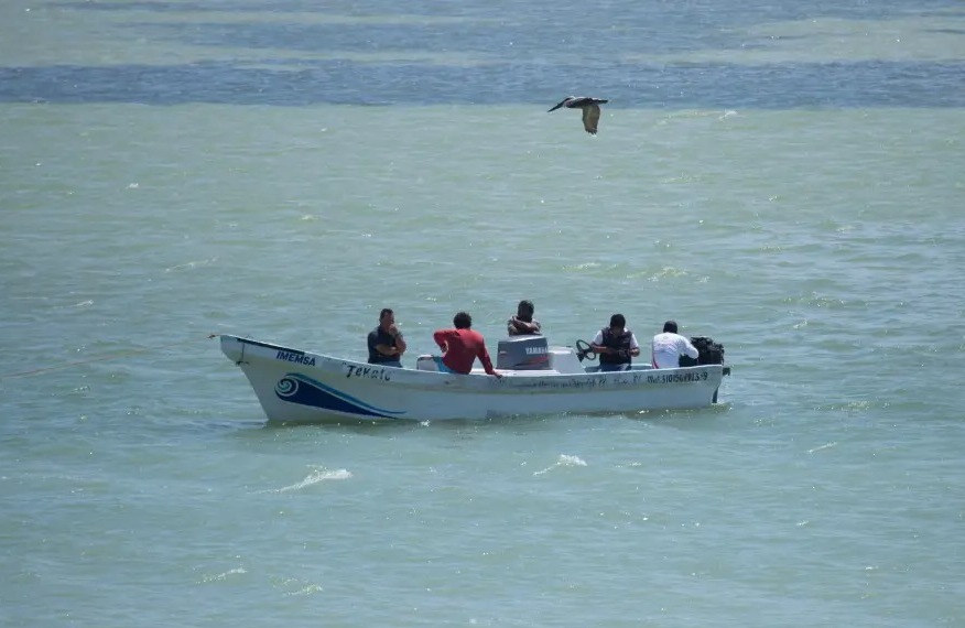 a56dd369-3f06-49a1-8e94-996132243bb2