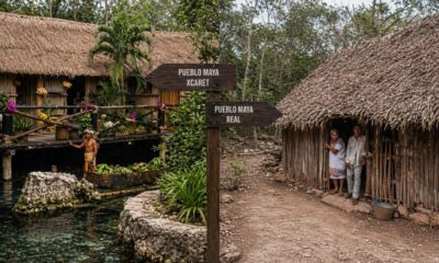 ae634618-f74b-4ce7-a732-1fae1c2e29f0