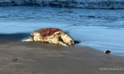 captura-de-pantalla-2026-04-23-080_1-15171948_20260423140743