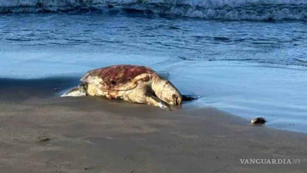 captura-de-pantalla-2026-04-23-080_1-15171948_20260423140743