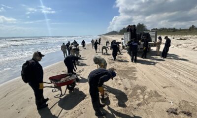 despliegue-2400-elementos-derrame-hidrocarburos-veracruz-tabasco