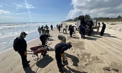 despliegue-2400-elementos-derrame-hidrocarburos-veracruz-tabasco