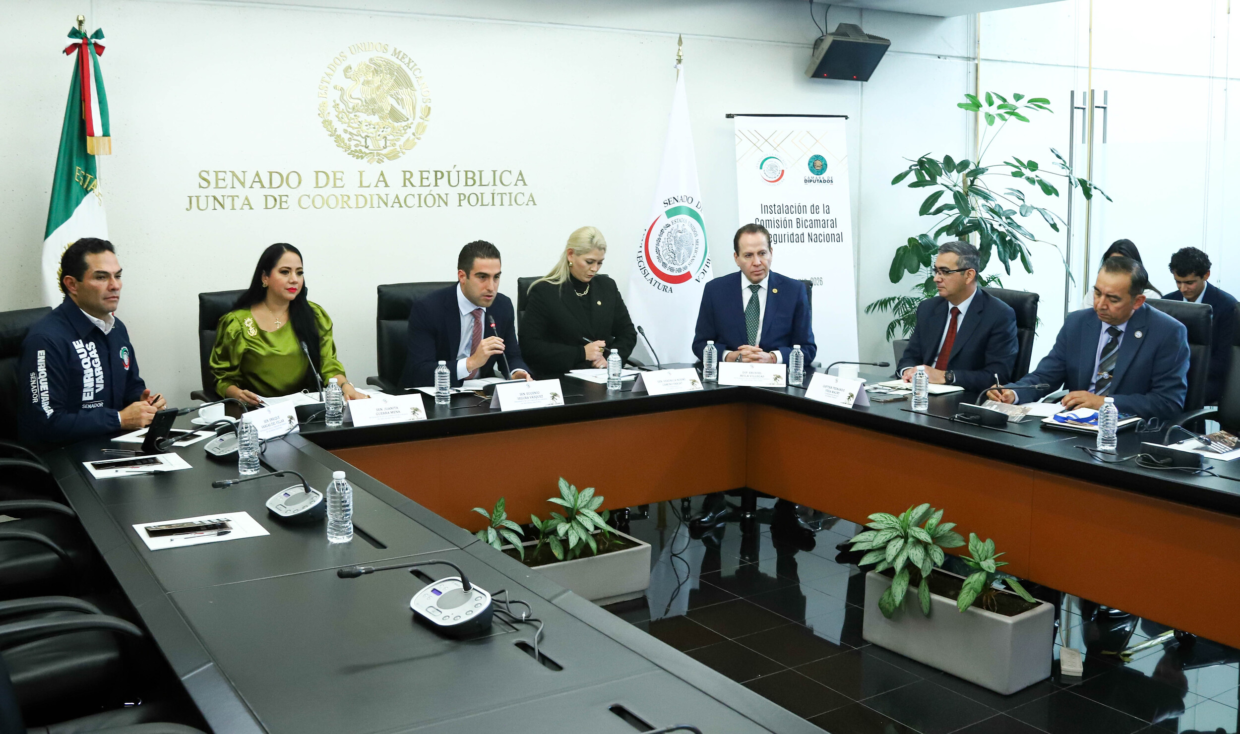 bicameral