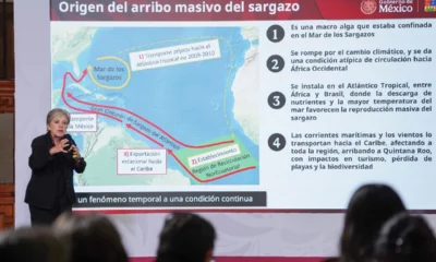 Explicacion-origen-sargazo-mexico