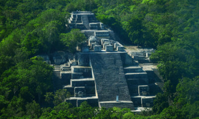 calakmul-foto-shutterstock-1
