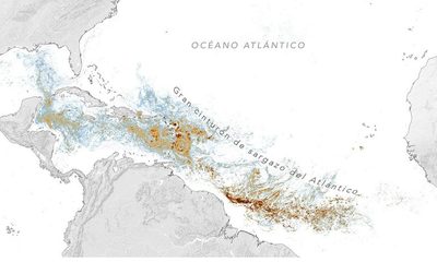 sargassum_pace_202606_es